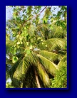 [Click to enlarge]