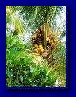 [Click to enlarge]