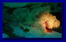[Click to enlarge]