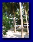 [Click to enlarge]