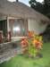 bungalow2_small.jpg