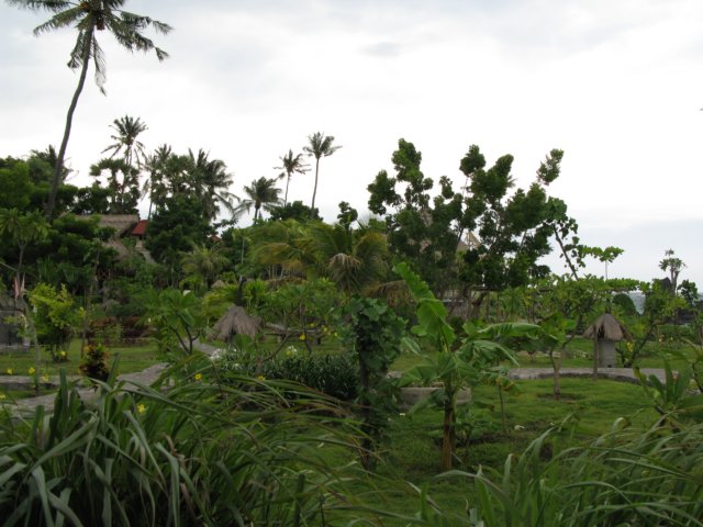 img_7852.jpg