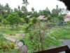 img_7899_small.jpg