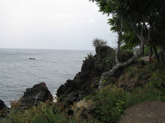 img_7907.jpg