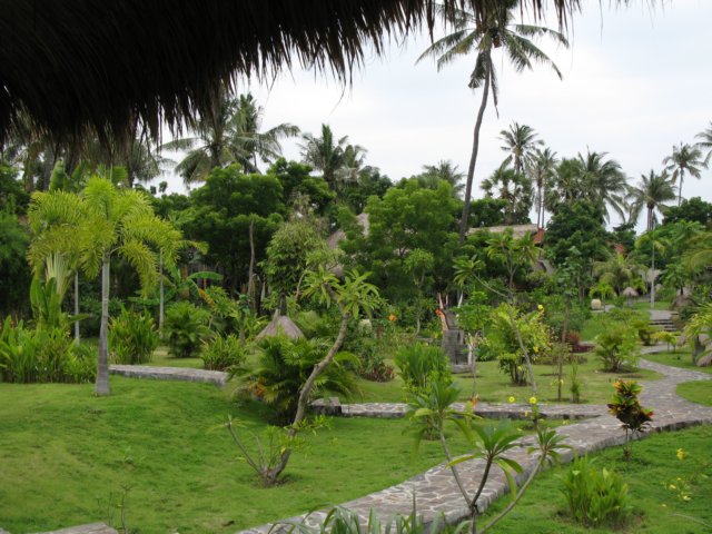 img_7930.jpg