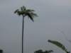img_7960_small.jpg