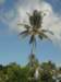 img_8183_small.jpg