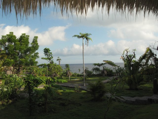 img_8187.jpg