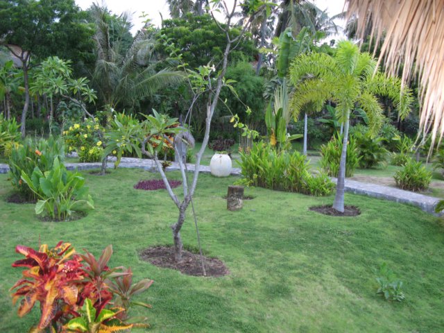 img_8954.jpg