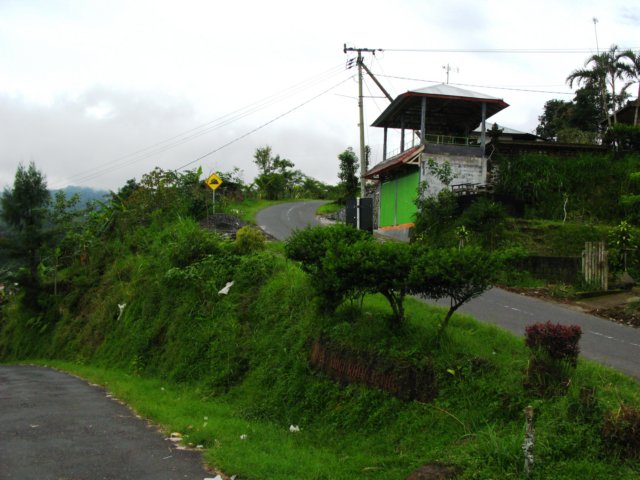 img_9230.jpg