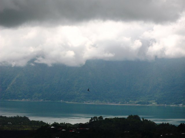 img_9239.jpg