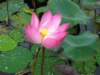 img_9282_small.jpg