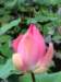img_9285_small.jpg