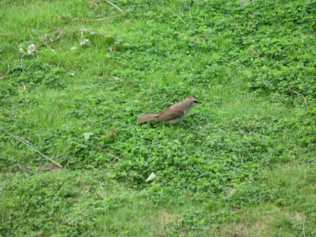img_8165.jpg