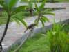 img_8939_small.jpg