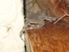 img_8960_small.jpg