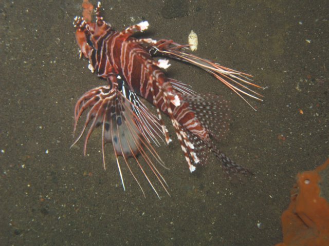 img_7995.jpg