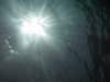 img_8227_small.jpg