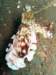 img_8263b_small.jpg