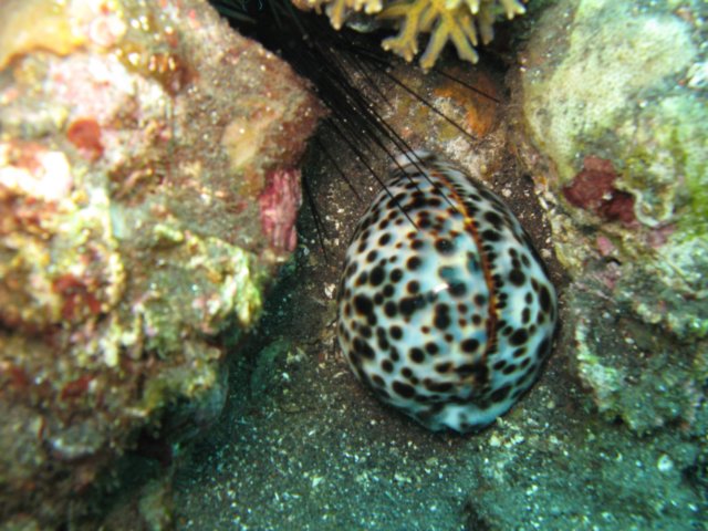 img_8700.jpg