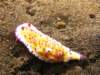 img_8772b_small.jpg