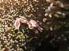 img_8884a_small.jpg
