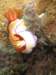 img_8978b_small.jpg
