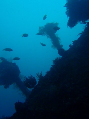 p2210103.jpg