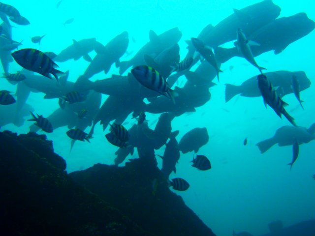 p2220145.jpg