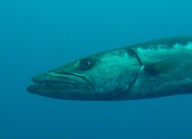 p2220156.jpg
