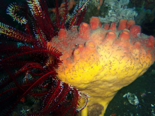p2240305.jpg