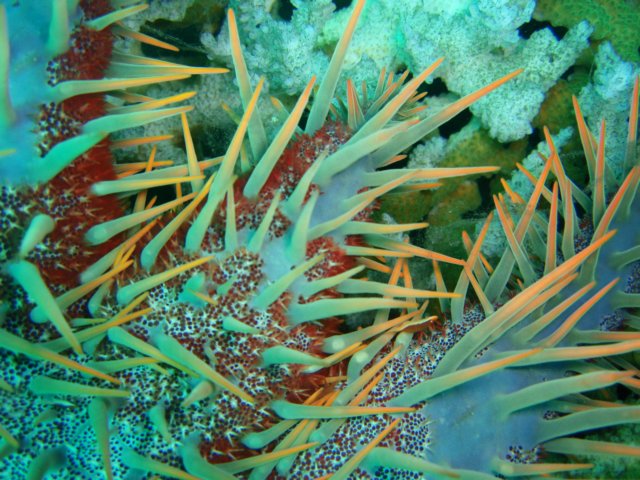 p2260504.jpg