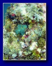 [Click to enlarge]