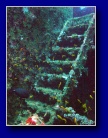 [Click to enlarge]
