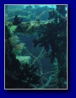[Click to enlarge]