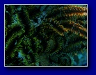 [Click to enlarge]