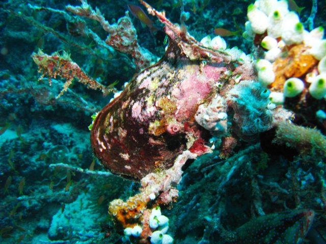 aimg_6144.jpg