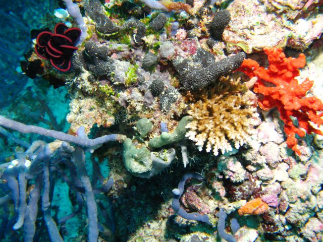 aimg_6145.jpg