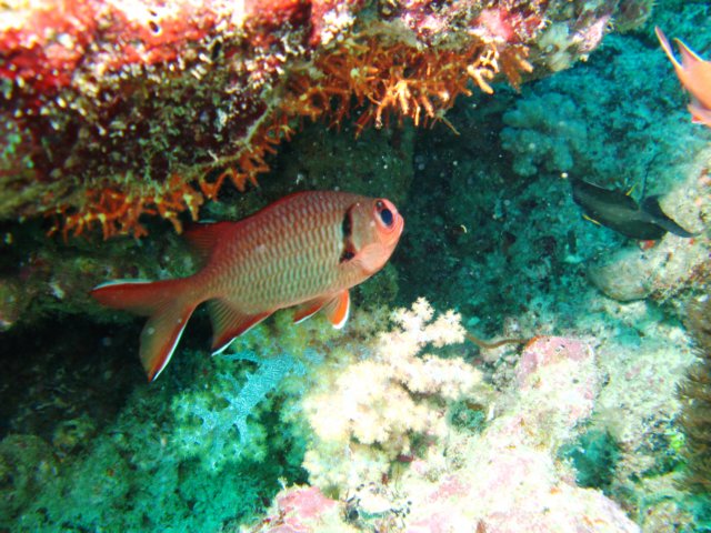 aimg_6351.jpg