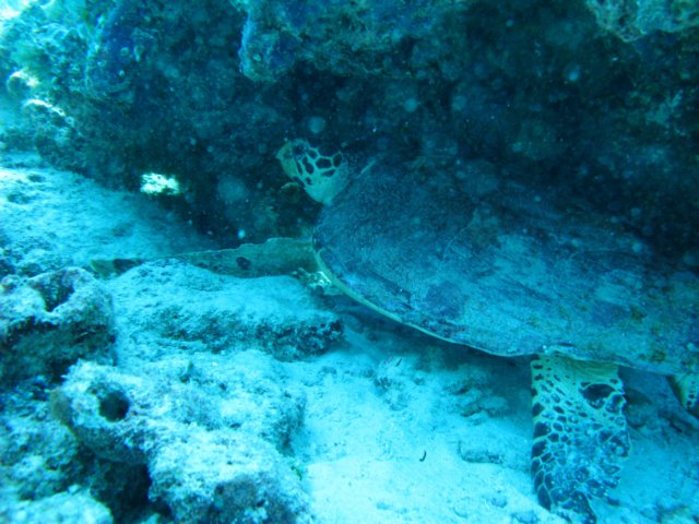 aimg_6406.jpg