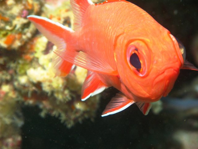 aimg_6540.jpg