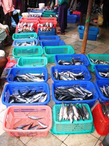 fischmarkt.jpg