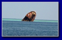 [Click to enlarge]