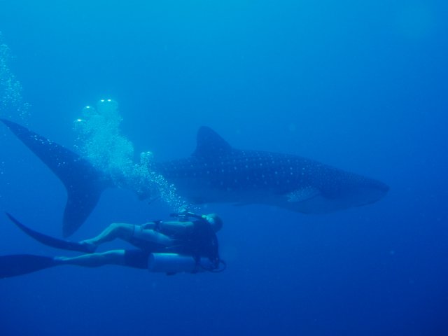p1170035.jpg