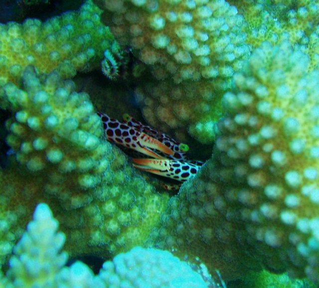 p1180155.jpg
