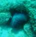 p1230447_small.jpg
