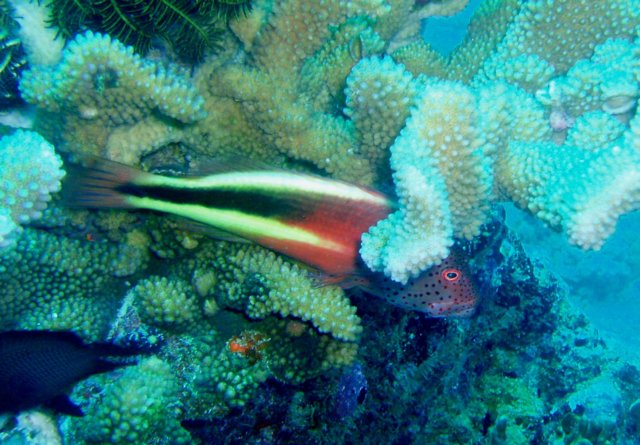 p1250700.jpg
