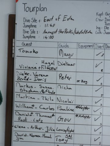 guteorganisation.jpg