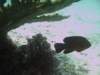 img_1126_small.jpg