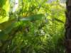 natur_small.jpg